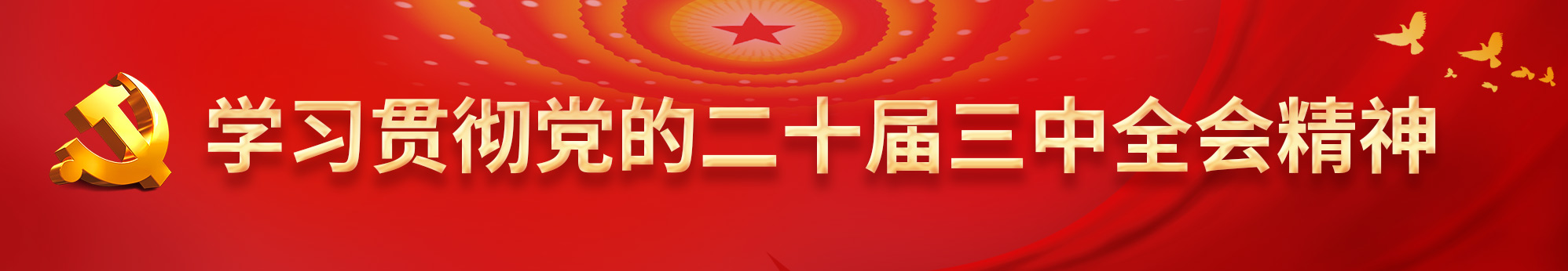 学习贯彻党的二十届三中全会精...